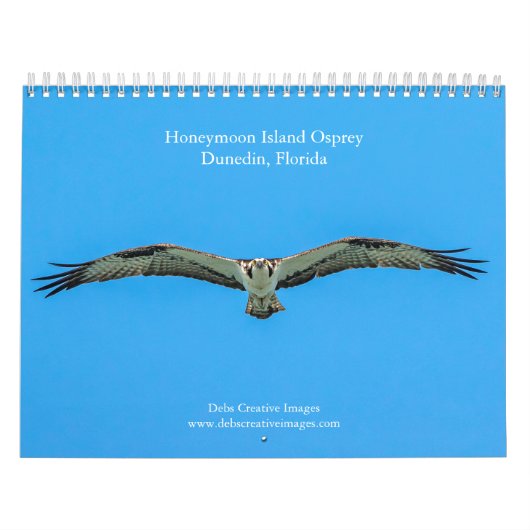 Honeymoon Island Osprey 2026 Kalender (Titelbild)