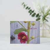 Honeysuccle danken Ihnen Postkarte (Stehend Vorderseite)