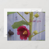 Honeysuccle danken Ihnen Postkarte (Vorne/Hinten)