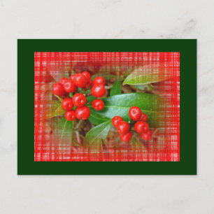 Honeysuckle Berries auf Baumwolltuch Postkarte