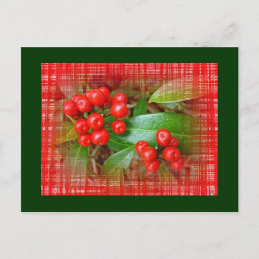 Honeysuckle Berries auf Baumwolltuch Postkarte (Vorderseite)