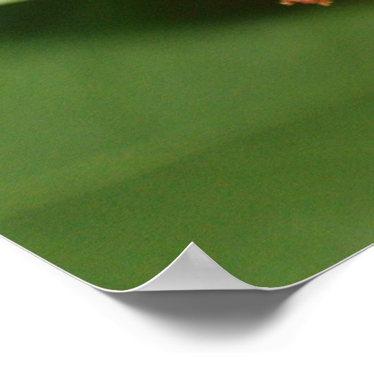 Honeysuckle Berries Poster (Ecke)