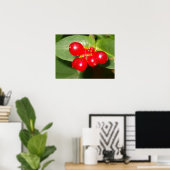 Honeysuckle Berries Poster (Heimbüro)