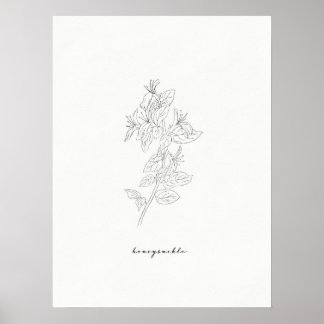 Honeysuckle Birth Blume Print Poster