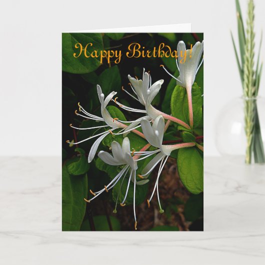 Honeysuckle Birthday Card Karte (Vorderseite)