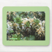Honeysuckle Blooms Mousepad (Vorne)