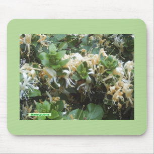 Honeysuckle Blooms Mousepad