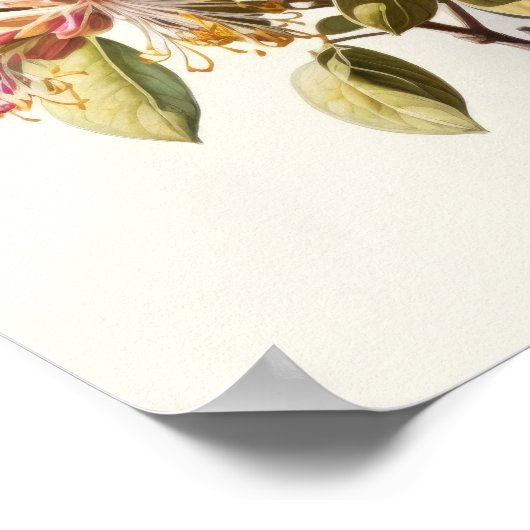 Honeysuckle Blume Art Print Poster (Ecke)