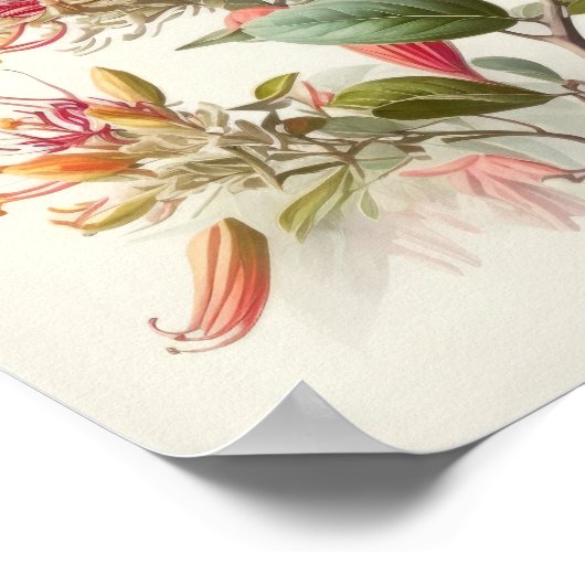 Honeysuckle Blume Art Print Poster (Ecke)