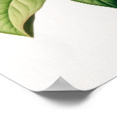 Honeysuckle Blume Art Print Poster (Ecke)