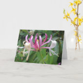 Honeysuckle Blume Card Karte (Gelbe Blume)