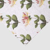 Honeysuckle Blume Muster Seidenpapier (Ausschnitt)