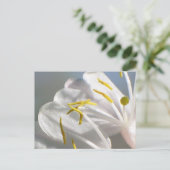 Honeysuckle Blume Postkarte (Stehend Vorderseite)