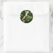 Honeysuckle Bumble Bee Runder Aufkleber (Tasche)
