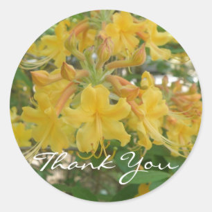 Honeysuckle danke dir Stickers