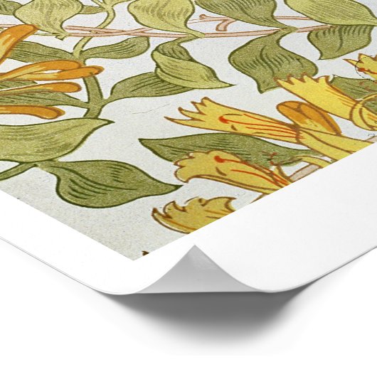 "Honeysuckle"-Design, 1883 Poster (Ecke)
