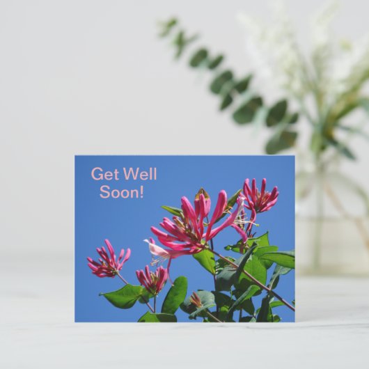 Honeysuckle -Get Well bald on-Postcard Postkarte (Stehend Vorderseite)