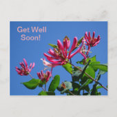 Honeysuckle -Get Well bald on-Postcard Postkarte (Vorderseite)