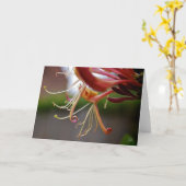 Honeysuckle [Grußkarte] Karte (Gelbe Blume)