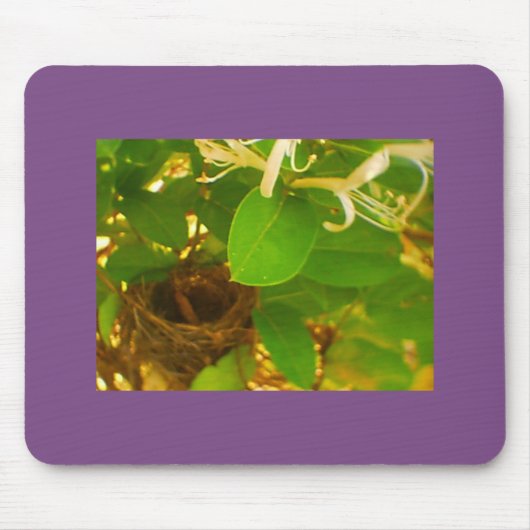 Honeysuckle Hummingbird Nest Mousepad (Vorne)