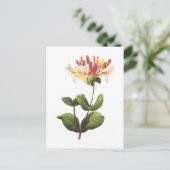 Honeysuckle(Lonicera sp.) von Redouté Postkarte (Stehend Vorderseite)