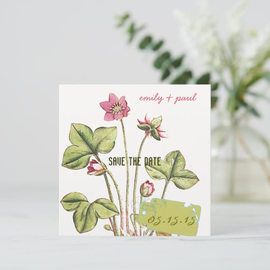 Honeysuckle Pink Blume Botanisch Save the Date (Stehend Vorderseite)