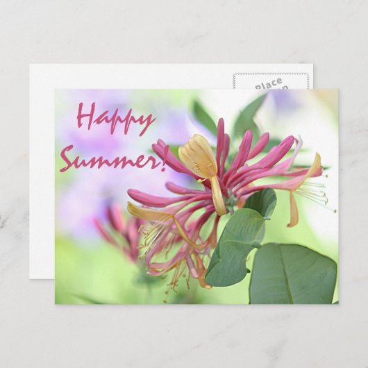 Honeysuckle Postkarte (Vorne/Hinten)