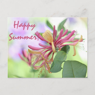 Honeysuckle Postkarte