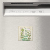Honeysuckle, Sage und Rose Magnet (In Situ (Geschirrspüler))