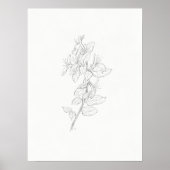Honeysuckle Sketch Art Print Poster (Vorne)