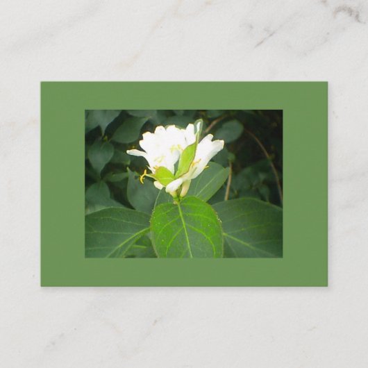 Honeysuckle Tree Visitenkarte (Vorderseite)