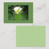 Honeysuckle Tree Visitenkarte (Vorne/Hinten)