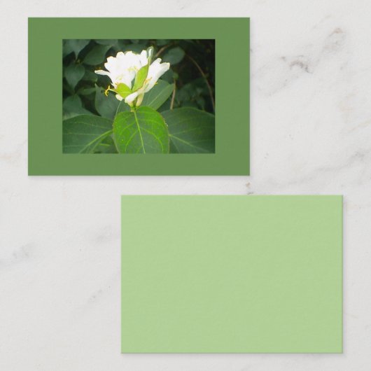 Honeysuckle Tree Visitenkarte (Vorne/Hinten)