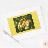 Honeysuckle Wilde Rose Frühjahr Rechteckige Aufkle Rechteckiger Aufkleber (Umschlag)