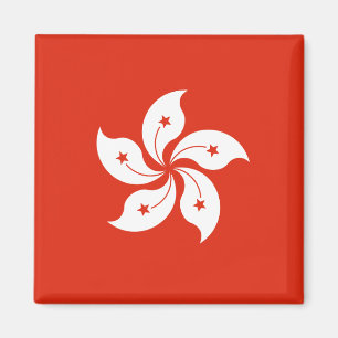 Hongkong-Flagge Magnet