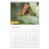 Hongkong-Wasch Kalender (Mär 2027)