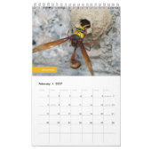 Hongkong-Wasch Kalender (Feb 2027)