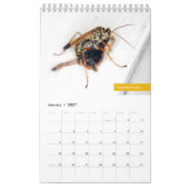 Hongkong-Wasch Kalender (Jan 2027)