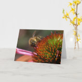Honig-Biene auf Coneflower Gruß-Karte Karte (Gelbe Blume)