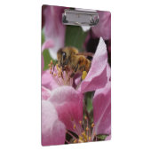 Honig-Biene, die rosa Crabapple Baum-Blüte Klemmbrett (Rechts)