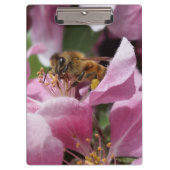Honig-Biene, die rosa Crabapple Baum-Blüte Klemmbrett (Vorderseite)