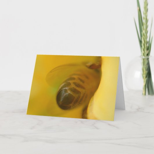 Honig-Biene Karte (Vorderseite)