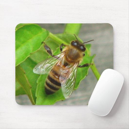 Honig-Biene Mousepad (Mit Mouse)
