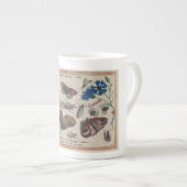 Honig-Bienen-Antike Hoefnagel Pflanzen, Vögel, Porzellantasse (Vorderseite Rechts)