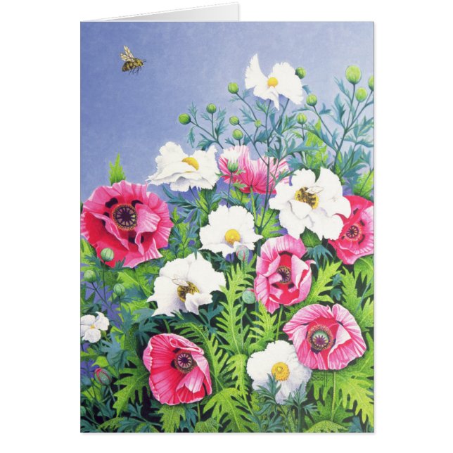 Honig-Bienen-Honig-Biene (Vorne)