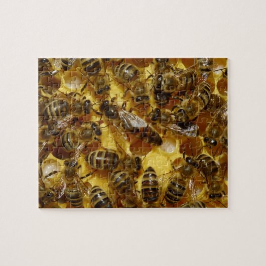 Honig-Bienen im Bienenstock mit Königin in der Puzzle (Horizontal)