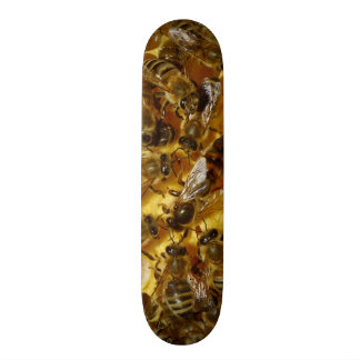 Honig-Bienen im Bienenstock mit Königin in der Skateboard