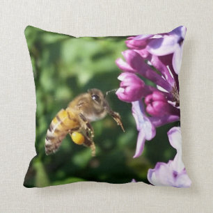 Honig-Bienen-Landung auf Fliedern für mehr Kissen