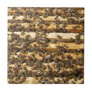 Honig-Bienen überall Fliese