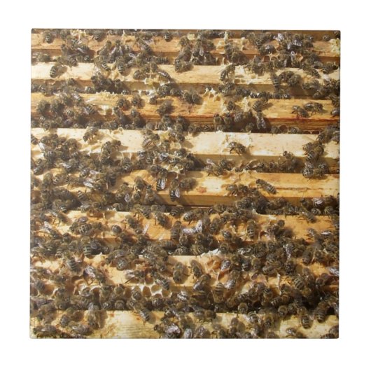 Honig-Bienen überall Fliese (Vorderseite)
